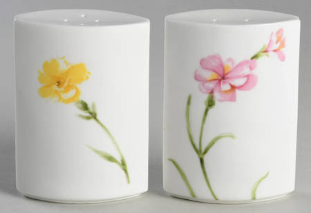 Nature's Garden Salt & Pepper Set