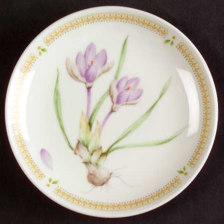Nature's Garden Coaster