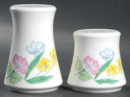 Sun Shower Salt & Pepper Set