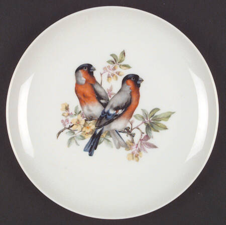 Aviary by Mottahedeh