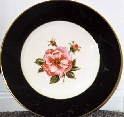 English Rose Green by Myott Staffordshire