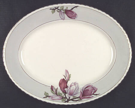 Magnolia by Myott Staffordshire