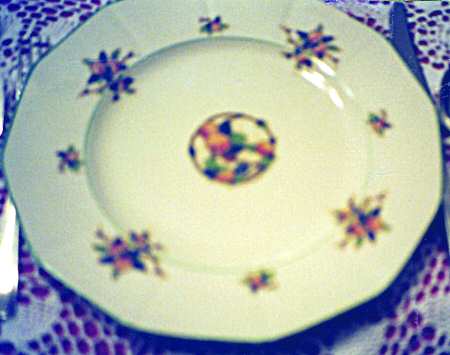 Oregon by Myott Staffordshire