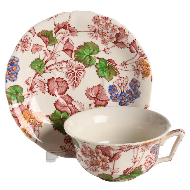 Florette Pink Multicolor Flat Cup & Saucer Set by Alfred Meakin