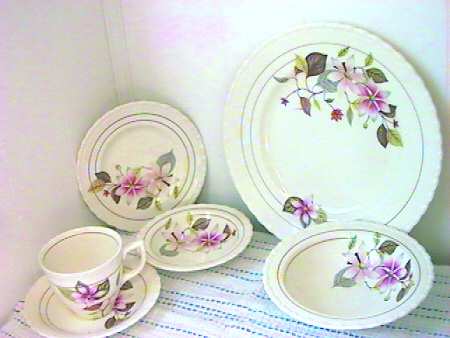 Loraine by Myott Staffordshire