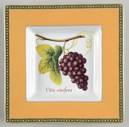 Fruit Odyssey Square Appetizer Plate