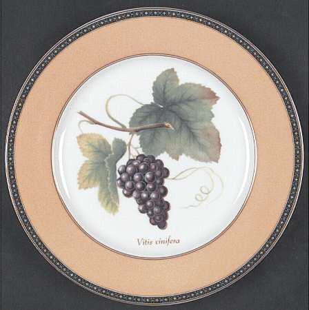 Fruit Odyssey Salad Plate