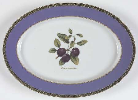 Fruit Odyssey 14" Oval Serving Platter