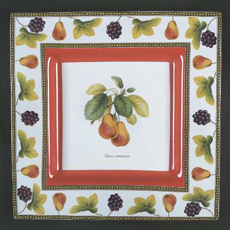 Fruit Odyssey 15" Square Serving Platter
