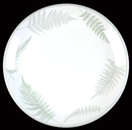 Fern Forest by Mikasa