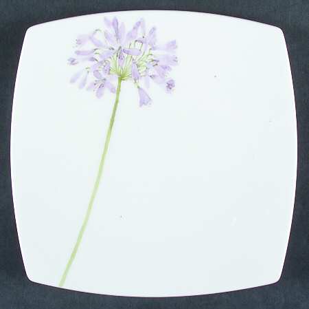 Garden Scenery Salad/Dessert Plate