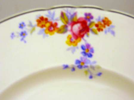 The Duchess by Myott Staffordshire
