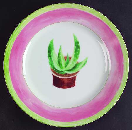 Cactus Breakfast Plate