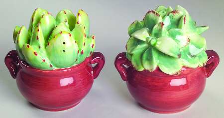 Cactus Salt & Pepper Set