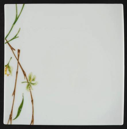 Jardin de Flore (Oxygene Shape) Square Salad Plate