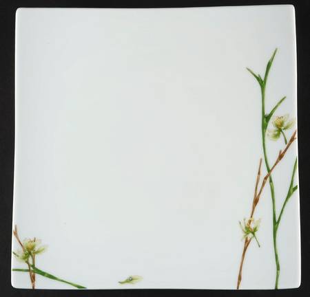 Jardin de Flore (Oxygene Shape) by Medard de Noblat