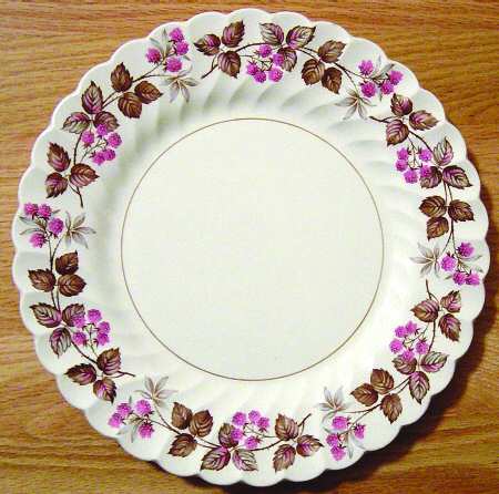 Shrewsbury Pink by Myott Staffordshire