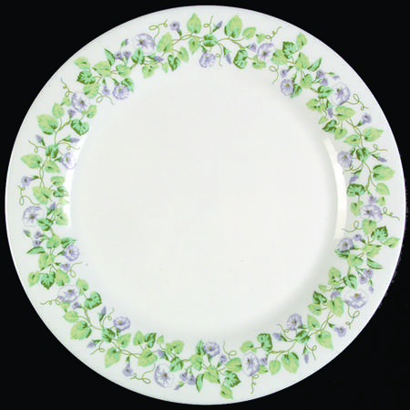 Morning Glory by Martha Stewart