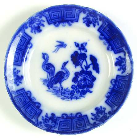 Oriental Birds by Mellor Venables
