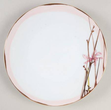 Amour En Cage (Oxygene Shape) Salad/Dessert Plate