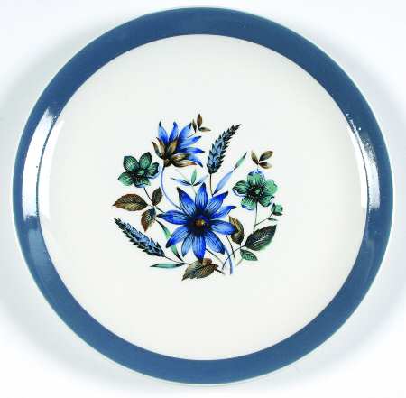 Country Side (Floral) by Myott Staffordshire