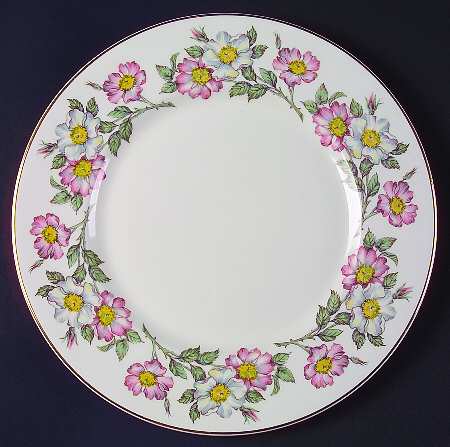 Prairie Rose by Myott Staffordshire