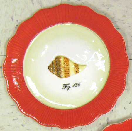 Out of the Shell Salad/Dessert Plate