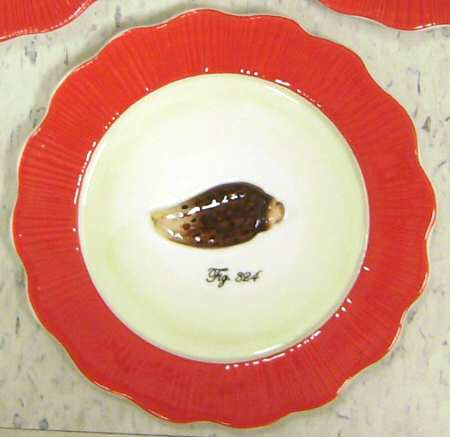 Out of the Shell Salad/Dessert Plate