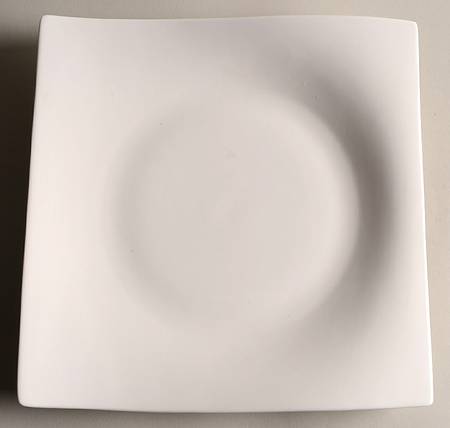 Motion Dinner Plate