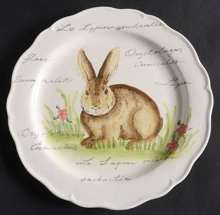 Postcard Bunny by Maxcera Corp