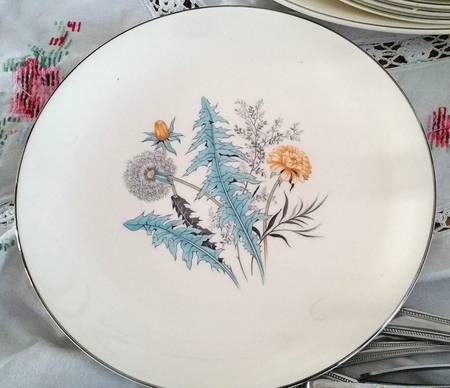 Summer Bower by Myott Staffordshire