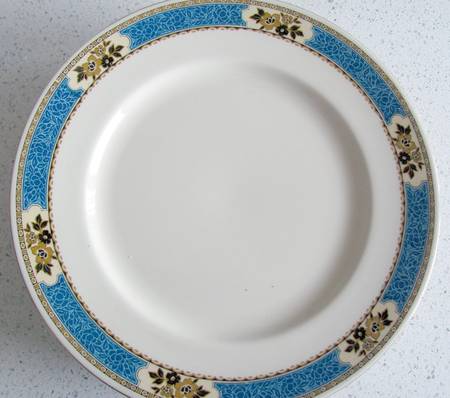 Waverly by Myott Staffordshire