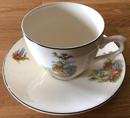 MYO201 by Myott Staffordshire