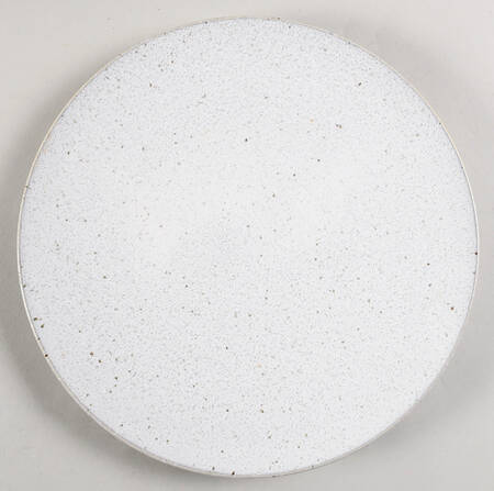 Wabi Sabi- Lichen by Miyama