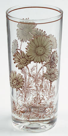 Desert Flowers 12 Oz Glassware Tumbler