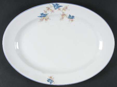 NAI14 15" Oval Serving Platter
