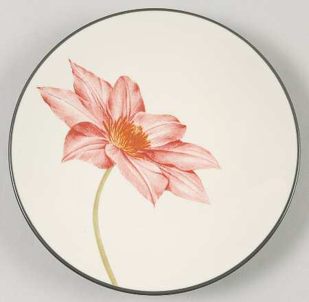 Colorwave Graphite Appetizer Plate by Noritake