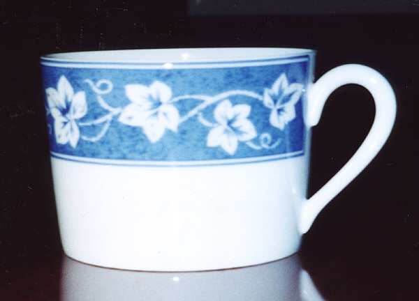 NPC3 Flat Cup
