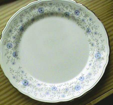 NSA1 Dinner Plate