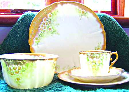 NLS2 by Nautilus Porcelain