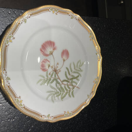 Gala Contessa Salad Plate