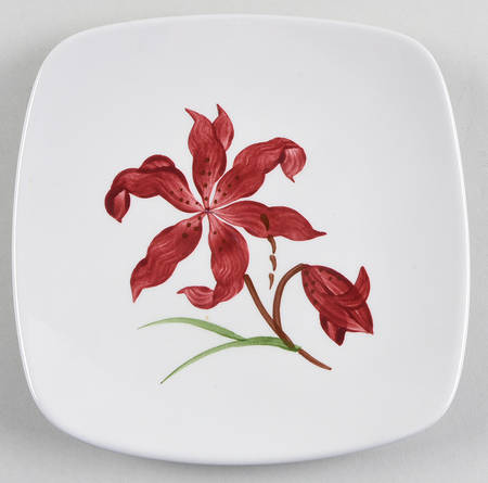 ORC7 Salad Plate by Orchard
