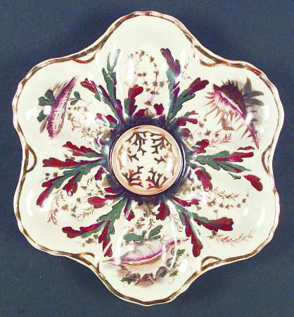 OYP1 Oyster Plate