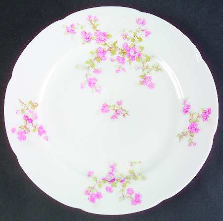 OSG104 Salad Plate
