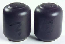 Tempest Salt & Pepper Set