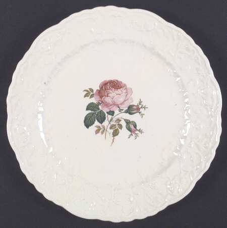 Bilton Rose by Pope Gosser