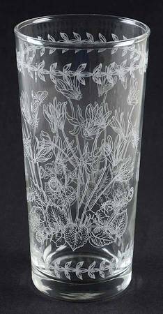 Botanic Garden 14 Oz Etch Glassware Highball