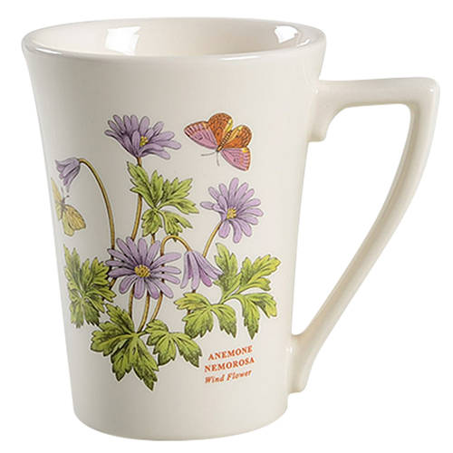 Botanic Garden Mandarin Mug