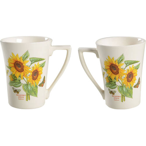 Botanic Garden Mandarin Mug
