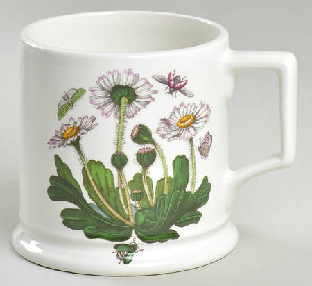 Botanic Garden Tavern Tankard